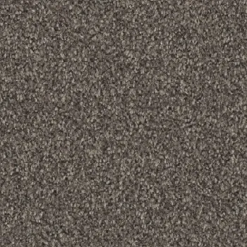 Preview: Vorwerk Luana Teppichboden granit – rechteckige Draufsicht